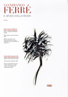 Scheda / Card