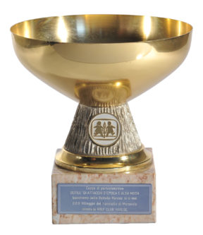 Coppa di partecipazione