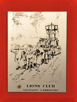 Riconoscimento dei Lions